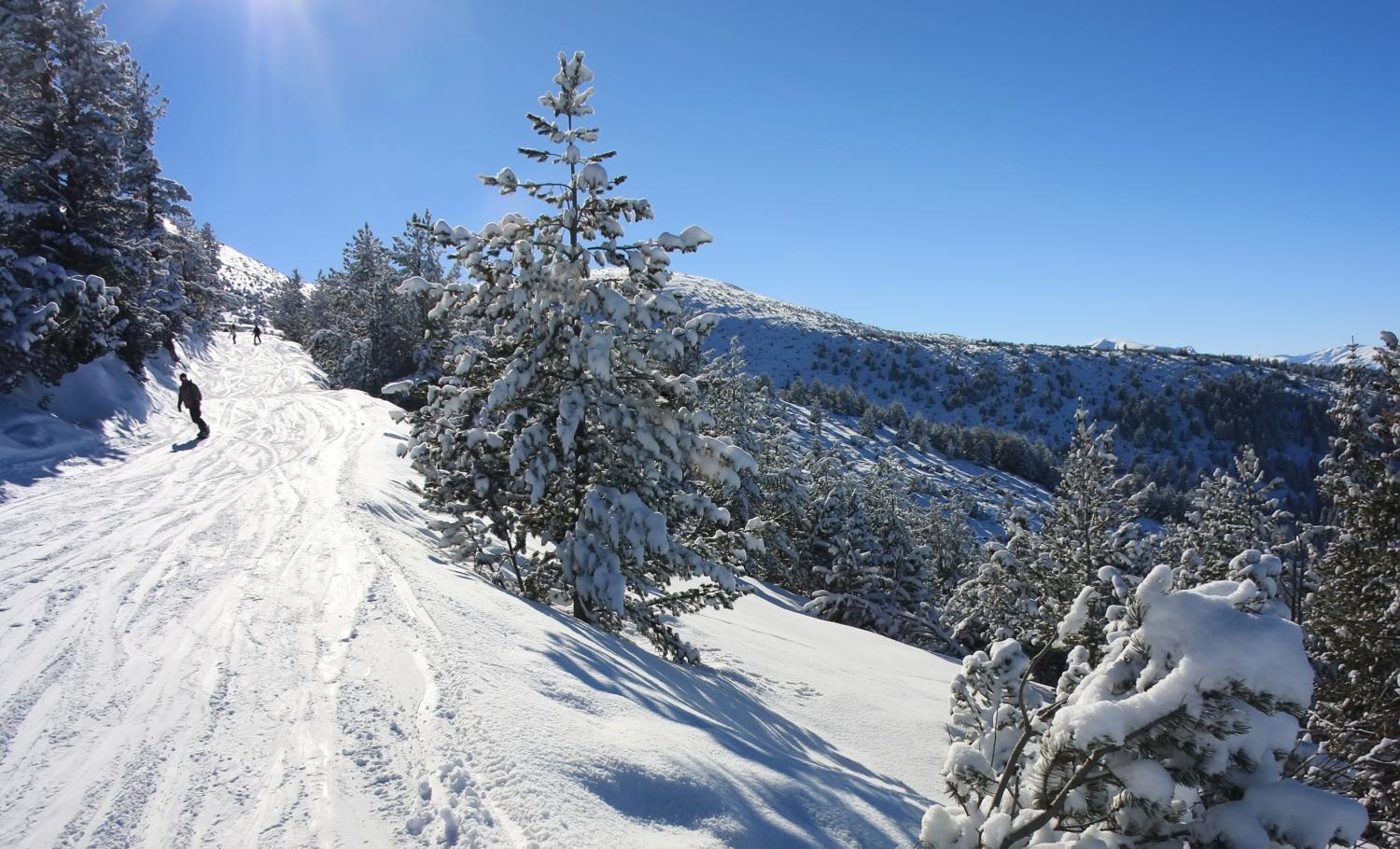 Pm Services Semiramida Apartments Borovets Exteriör bild