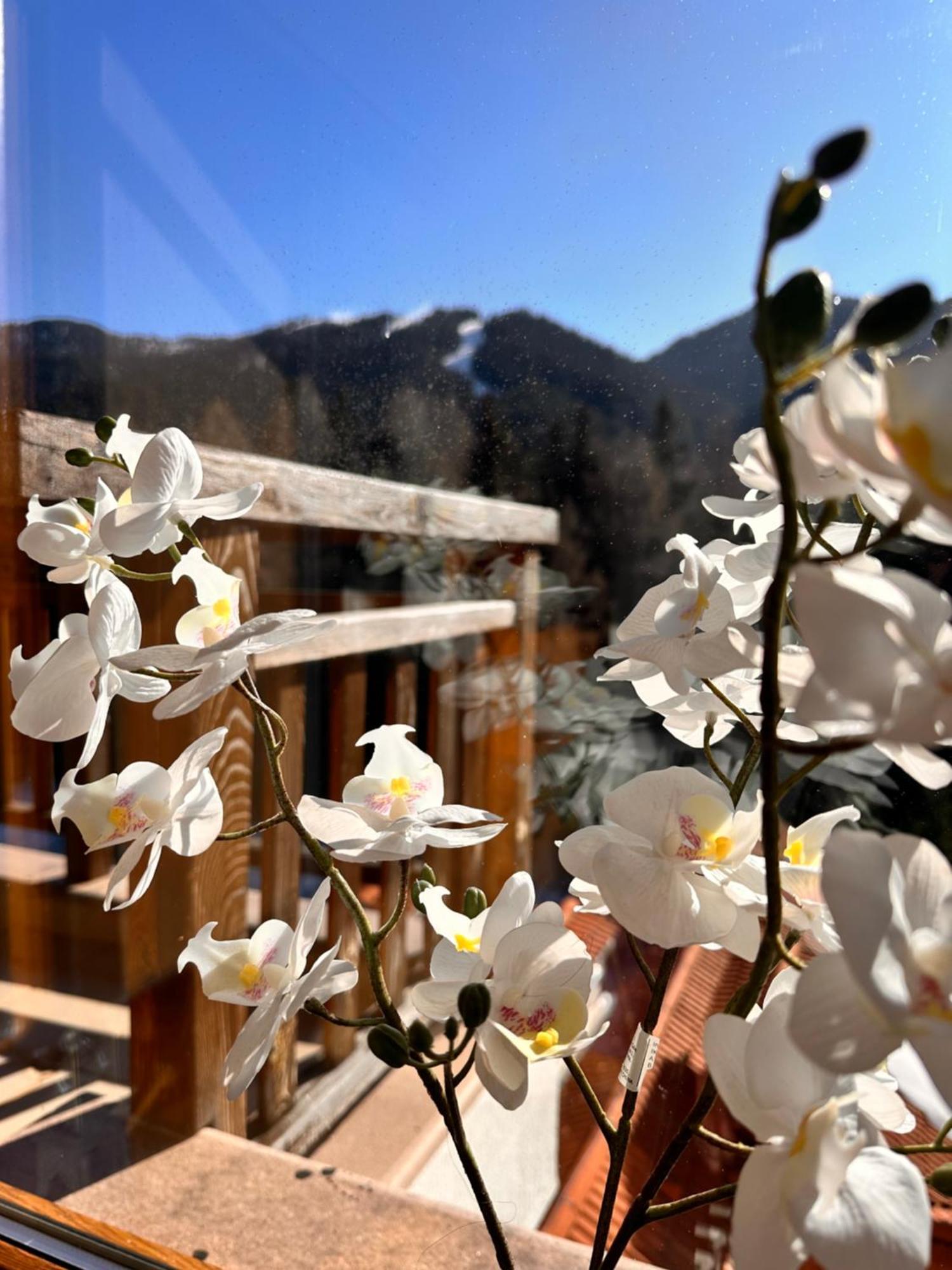 Pm Services Semiramida Apartments Borovets Exteriör bild